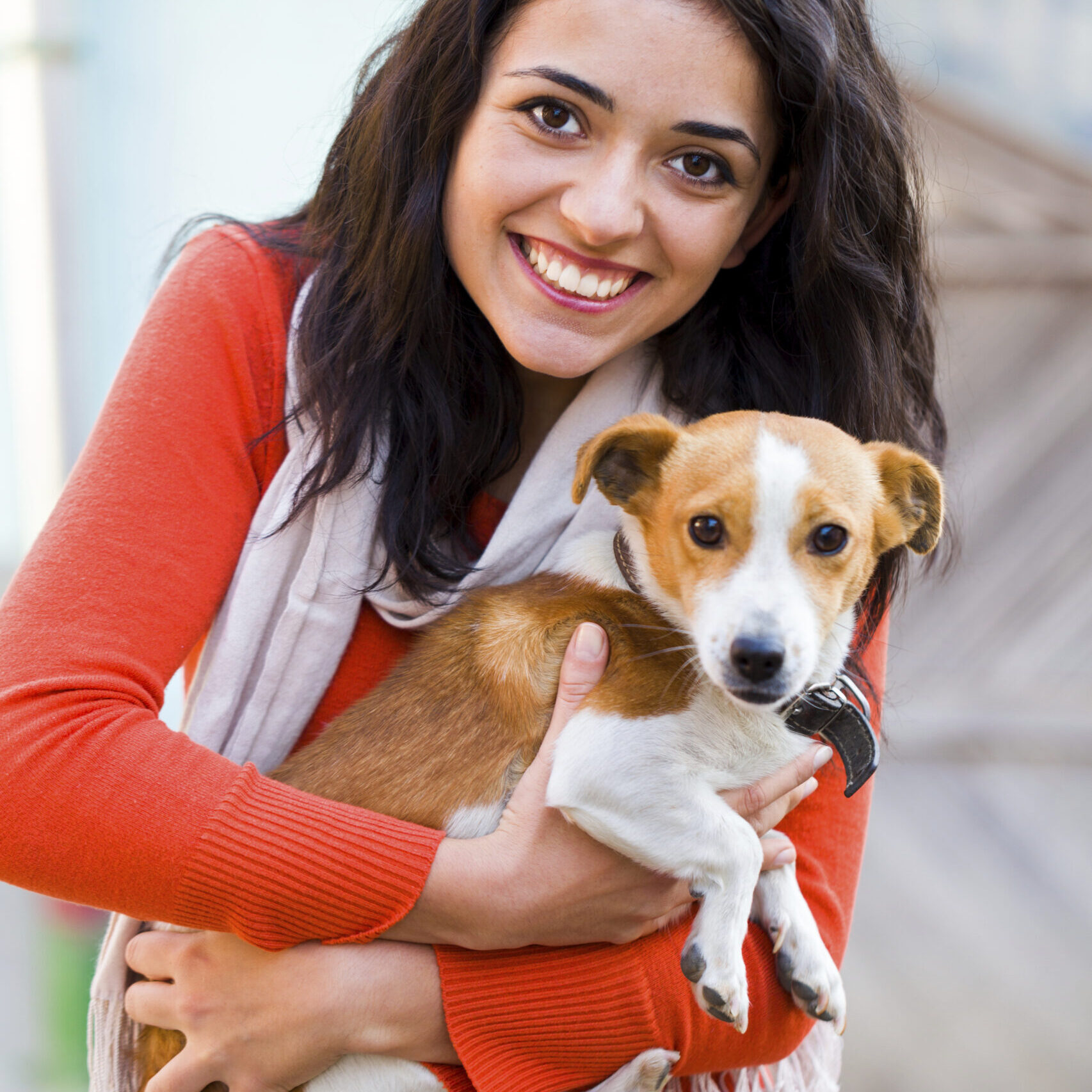 Woman Playing with Pet Beautiful kind woman playing with her little pet dog outdoors.